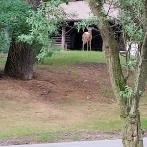 Meet your Posher, Janet